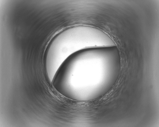 X0000068900050200605051151