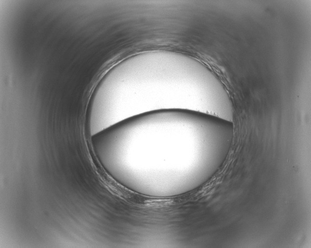 X0000068900051200605051151