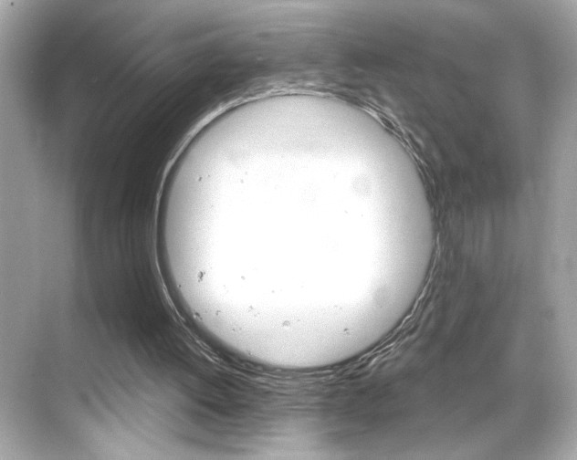 X0000068900052200605051151