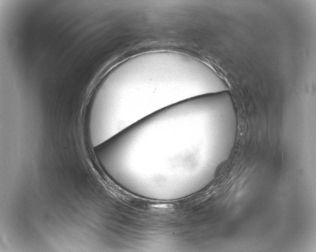 X0000068900053200605051151