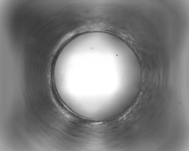 X0000068900054200605051151