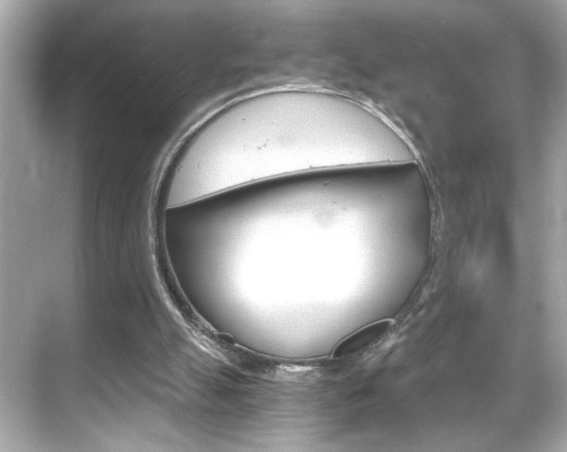 X0000068900055200605051151