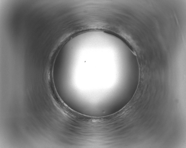 X0000068900060200605051151