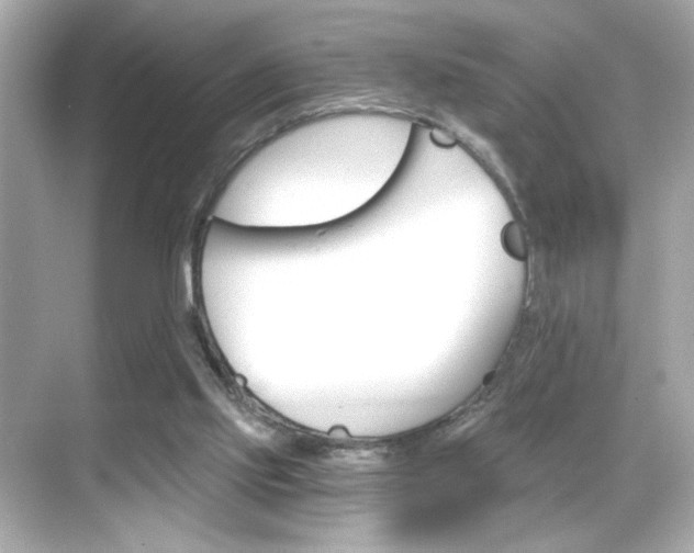 X0000068900061200605051151