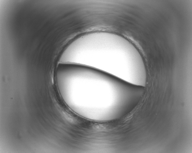 X0000068900062200605051151
