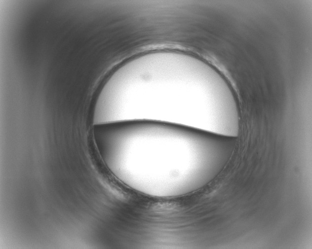 X0000068900063200605051151
