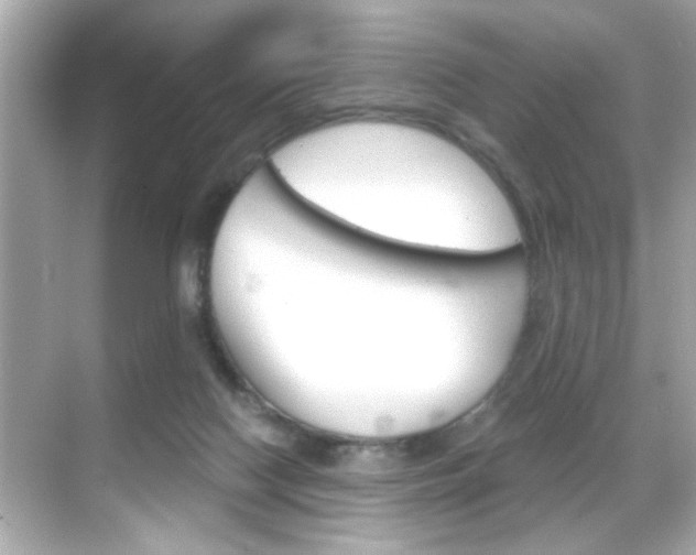 X0000068900074200605051152