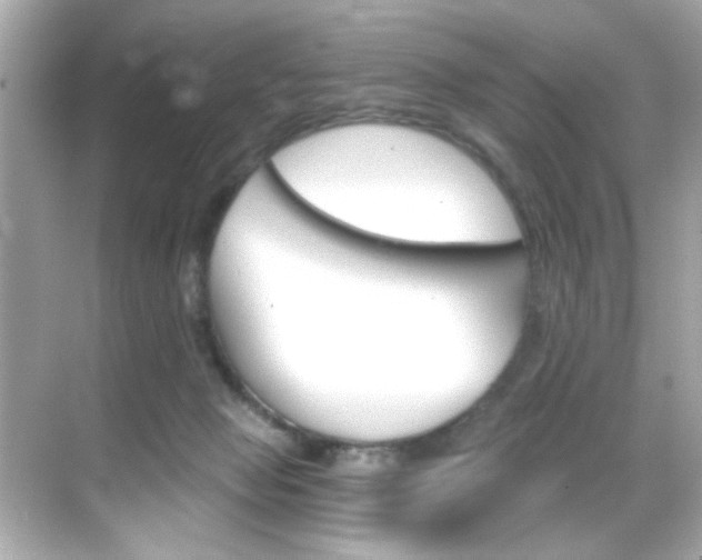 X0000068900077200605051152