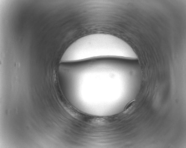 X0000068900086200605051152
