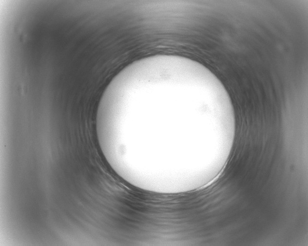 X0000068900094200605051152