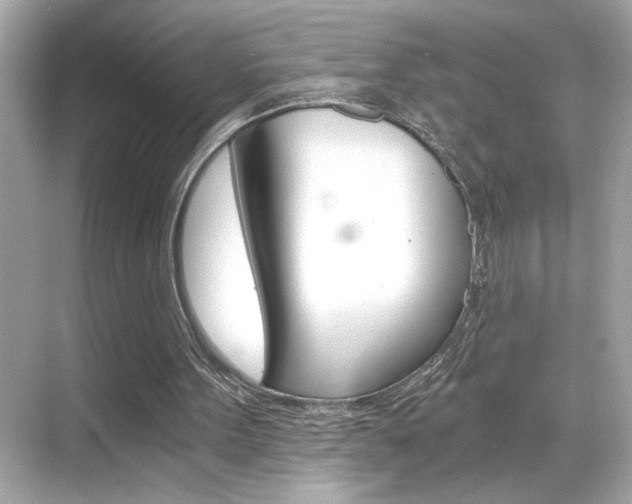 X0000068900099200605051151
