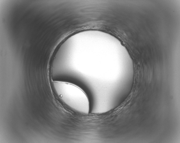 X0000068900100200605051151