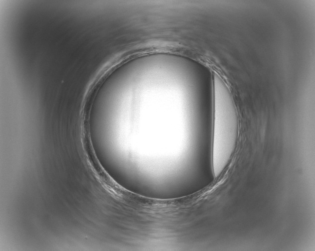 X0000068900101200605051151