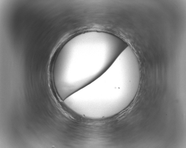 X0000068900102200605051151
