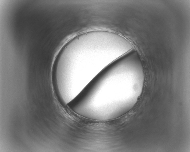 X0000068900104200605051151