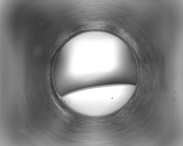 X0000068900107200605051151