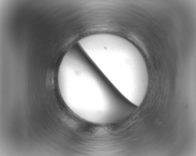 X0000068900115200605051151