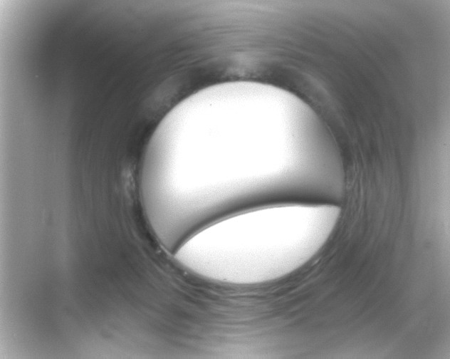 X0000068900127200605051151