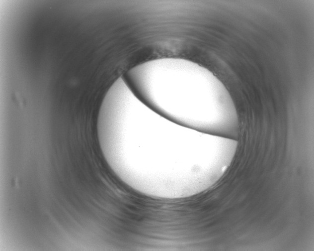 X0000068900134200605051151