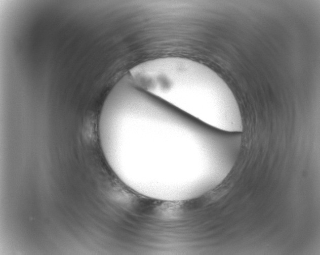 X0000068900138200605051150