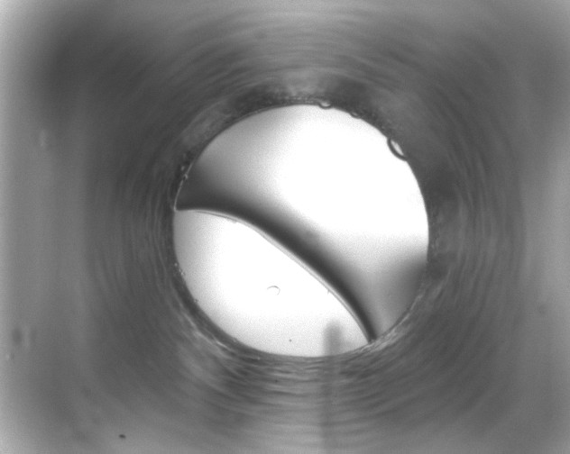 X0000068900140200605051150