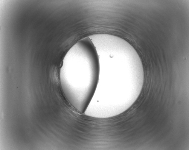 X0000068900143200605051150