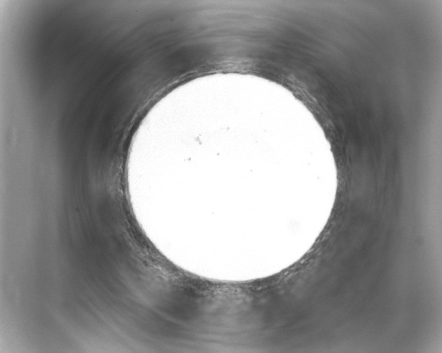X0000068900146200605051150