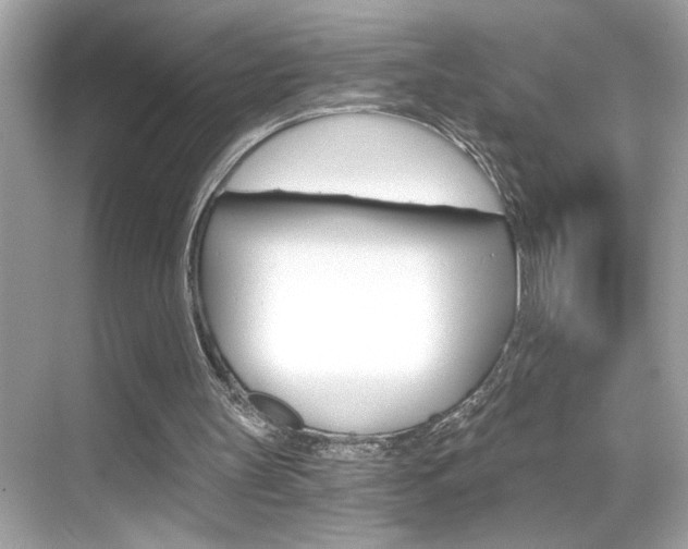X0000068900147200605051150