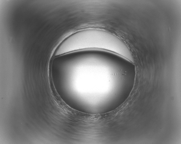 X0000068900148200605051150