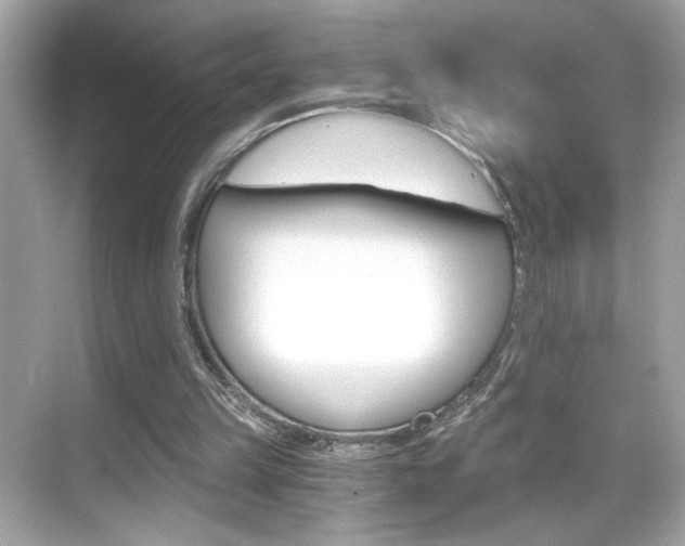 X0000068900149200605051150