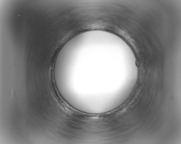 X0000068900153200605051150