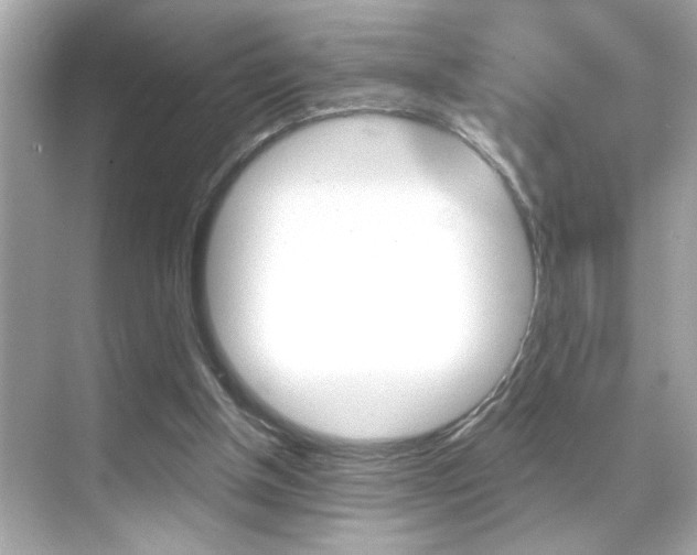 X0000068900154200605051150