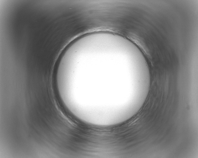 X0000068900156200605051150