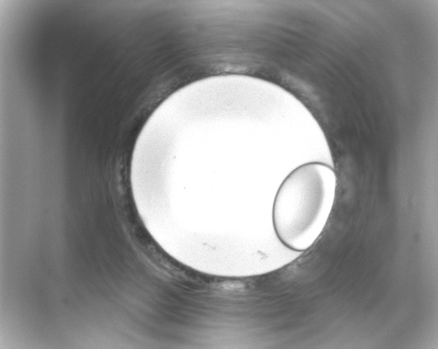 X0000068900162200605051150
