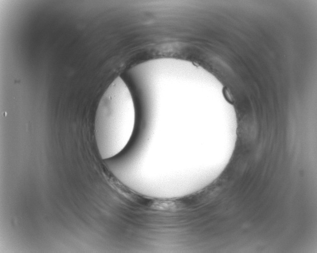 X0000068900181200605051150