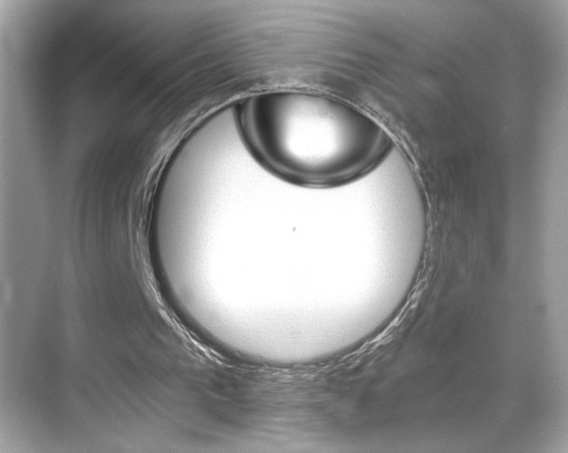 X0000068900193200605051150