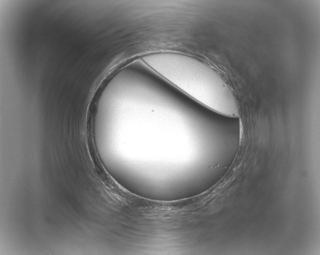 X0000068900195200605051149