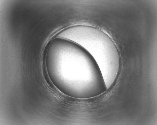 X0000068900199200605051149