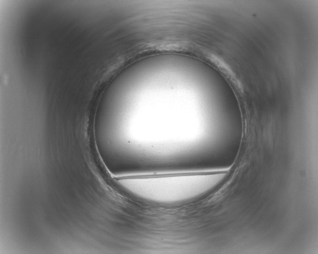 X0000068900201200605051149