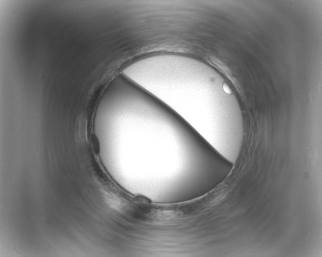 X0000068900205200605051149