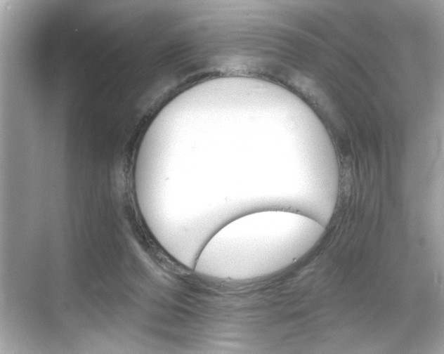 X0000068900208200605051149