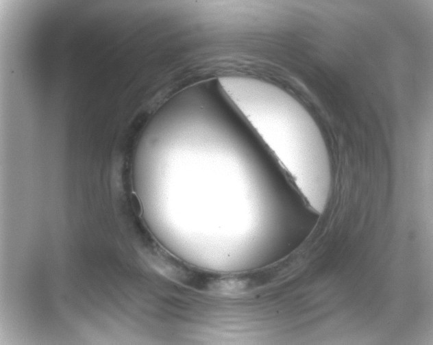 X0000068900217200605051149