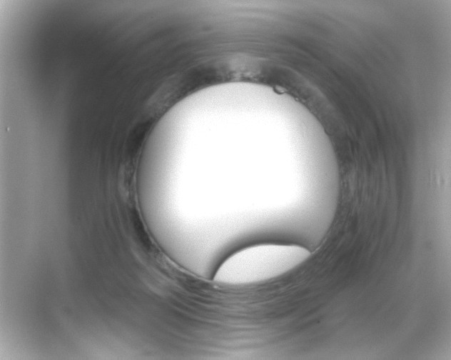 X0000068900218200605051149