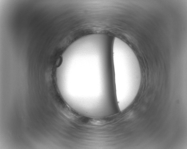 X0000068900221200605051149