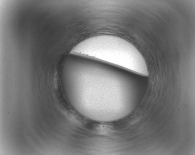 X0000068900223200605051149