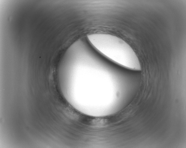 X0000068900225200605051149
