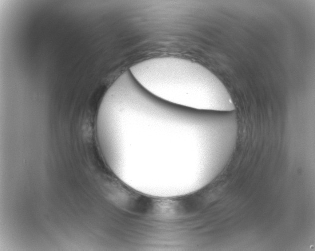 X0000068900226200605051149