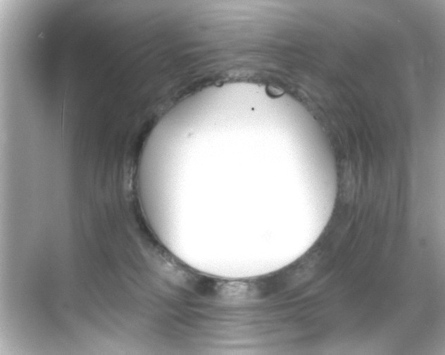 X0000068900230200605051149