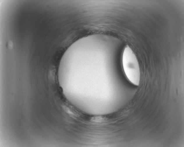 X0000068900231200605051149