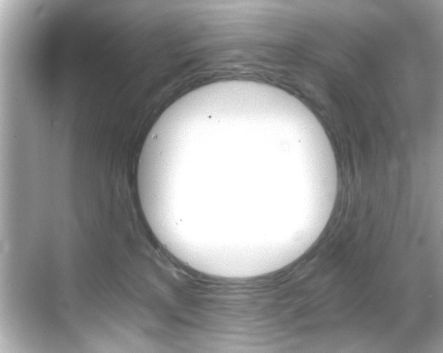 X0000068900233200605051149